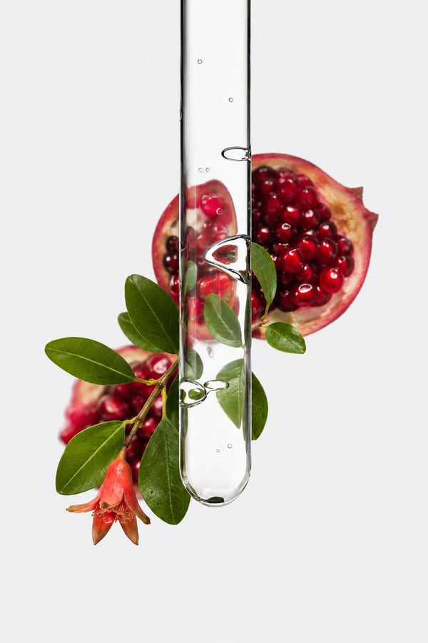 Pomegranate Extract